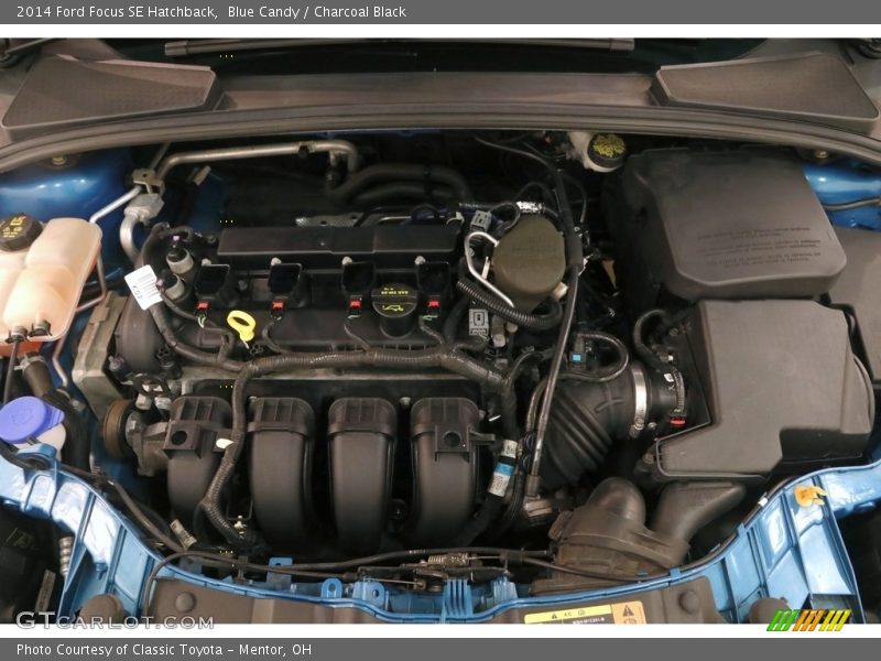 Blue Candy / Charcoal Black 2014 Ford Focus SE Hatchback