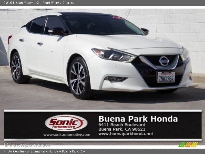 Pearl White / Charcoal 2016 Nissan Maxima SL