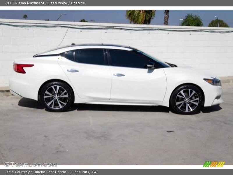 Pearl White / Charcoal 2016 Nissan Maxima SL