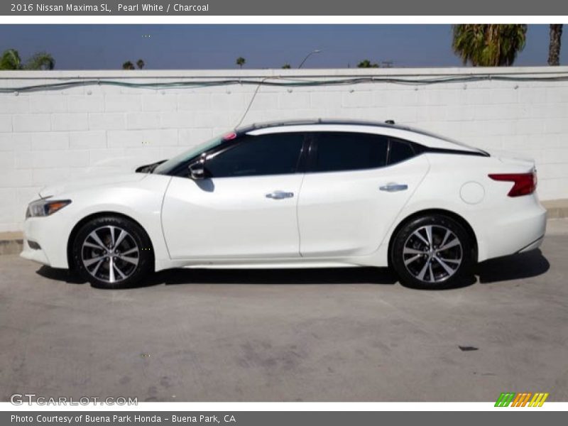 Pearl White / Charcoal 2016 Nissan Maxima SL