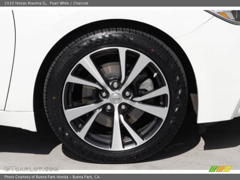 Pearl White / Charcoal 2016 Nissan Maxima SL