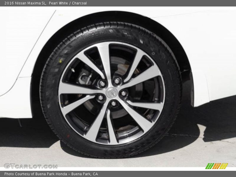 Pearl White / Charcoal 2016 Nissan Maxima SL
