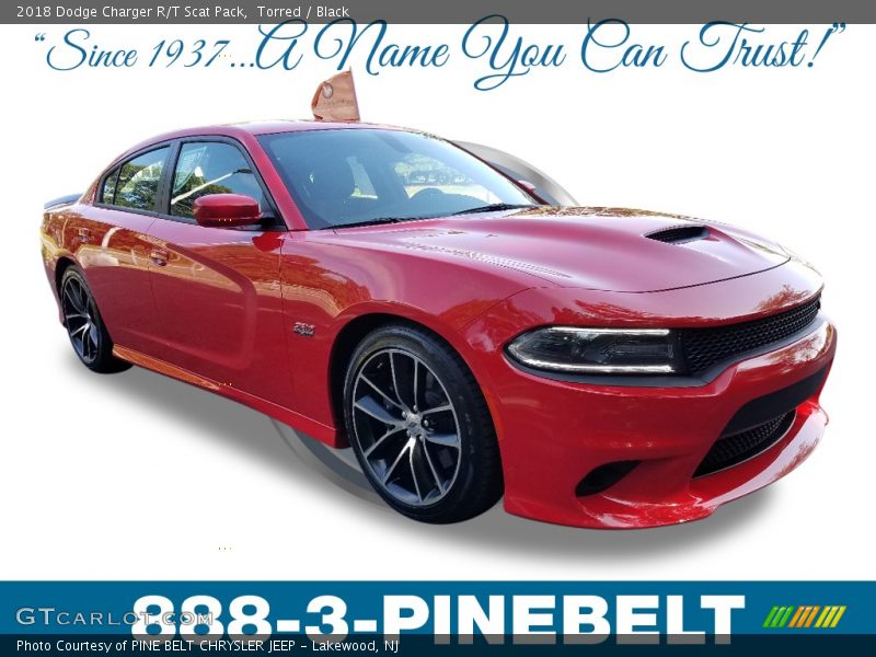 Torred / Black 2018 Dodge Charger R/T Scat Pack