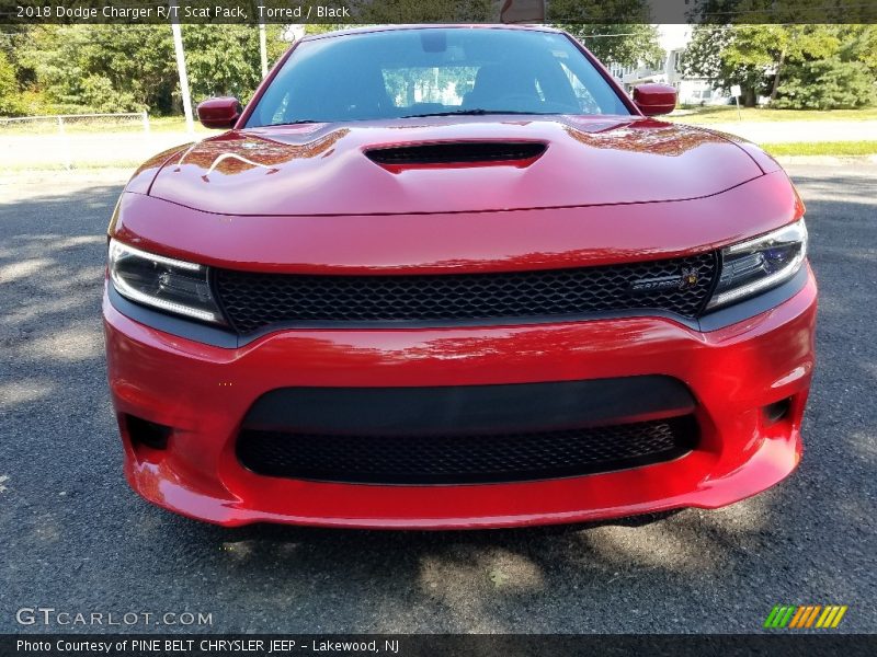 Torred / Black 2018 Dodge Charger R/T Scat Pack