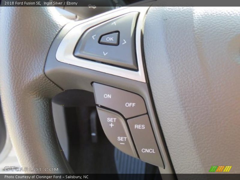 Ingot Silver / Ebony 2018 Ford Fusion SE
