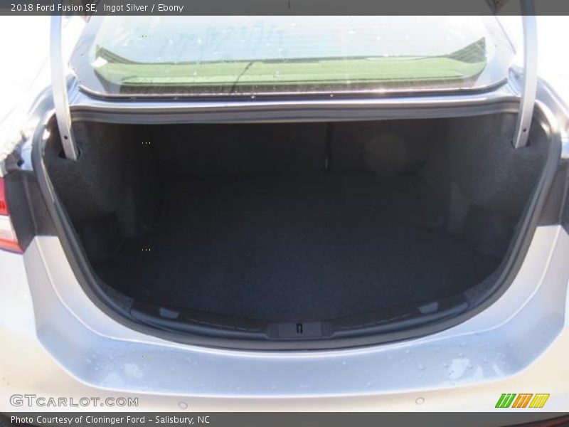 Ingot Silver / Ebony 2018 Ford Fusion SE