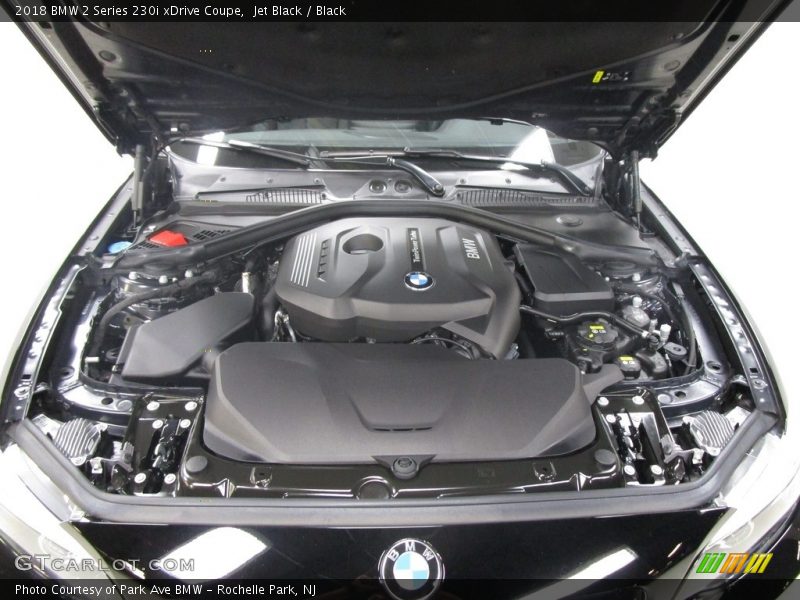Jet Black / Black 2018 BMW 2 Series 230i xDrive Coupe