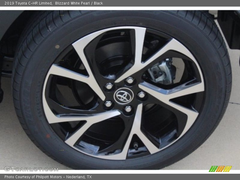 Blizzard White Pearl / Black 2019 Toyota C-HR Limited