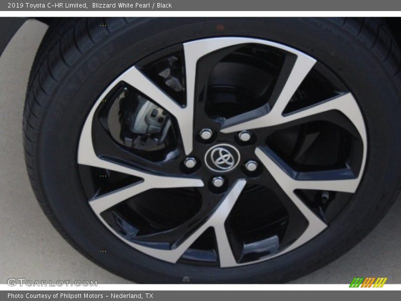 Blizzard White Pearl / Black 2019 Toyota C-HR Limited