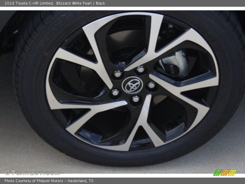 Blizzard White Pearl / Black 2019 Toyota C-HR Limited