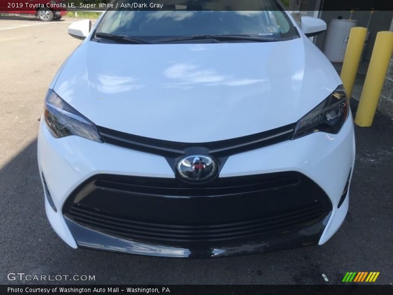 Super White / Ash/Dark Gray 2019 Toyota Corolla LE