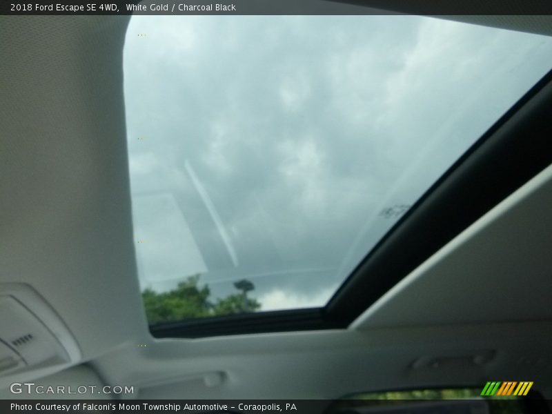 White Gold / Charcoal Black 2018 Ford Escape SE 4WD