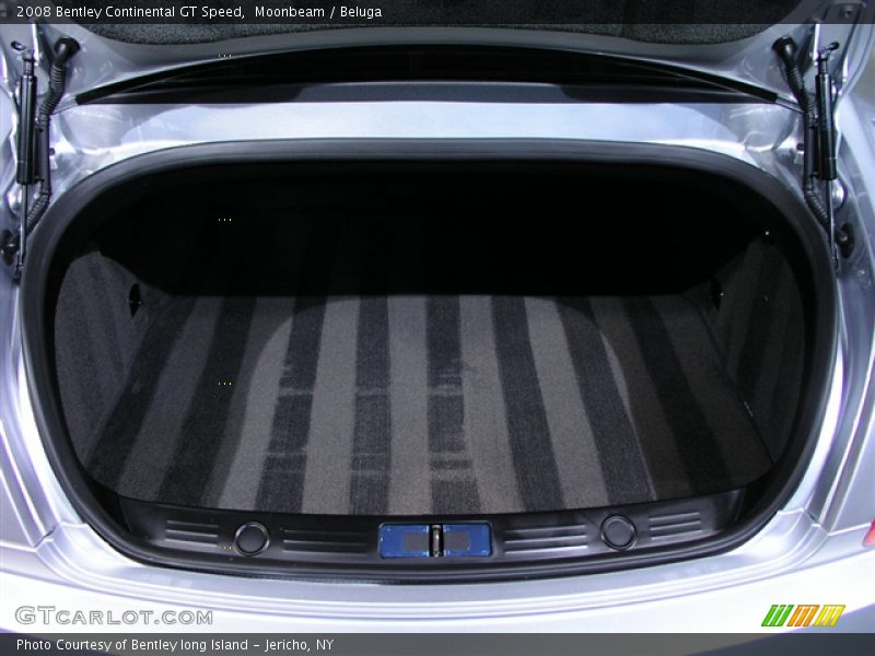 Moonbeam / Beluga 2008 Bentley Continental GT Speed