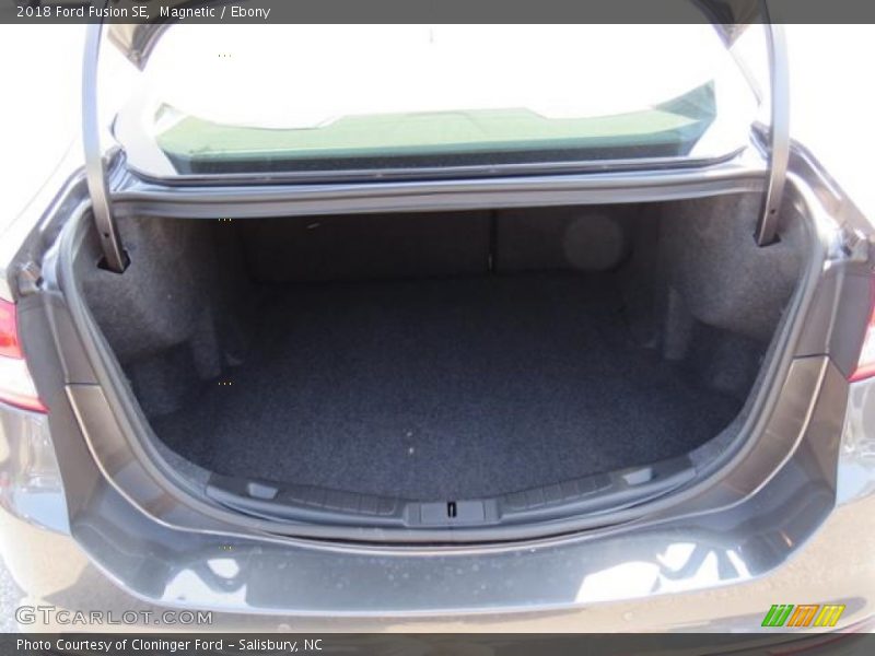 Magnetic / Ebony 2018 Ford Fusion SE
