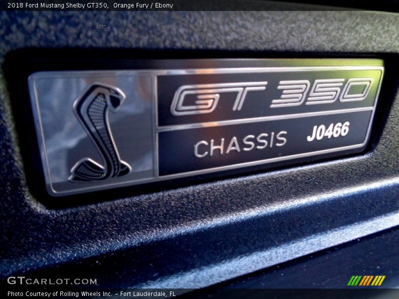  2018 Mustang Shelby GT350 Logo