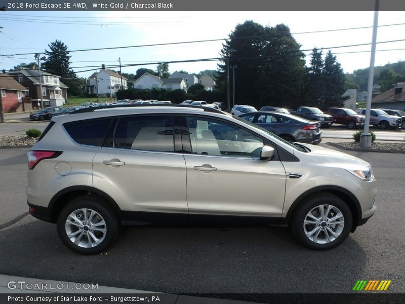 White Gold / Charcoal Black 2018 Ford Escape SE 4WD