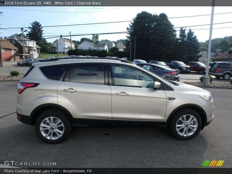 White Gold / Charcoal Black 2018 Ford Escape SEL 4WD