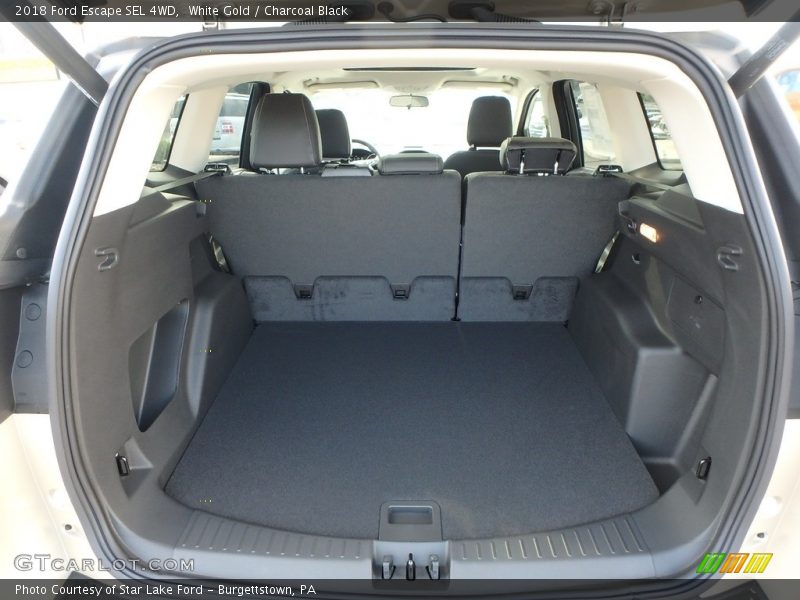 White Gold / Charcoal Black 2018 Ford Escape SEL 4WD