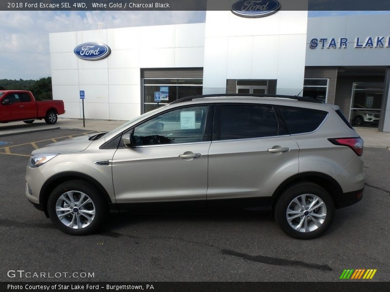 White Gold / Charcoal Black 2018 Ford Escape SEL 4WD