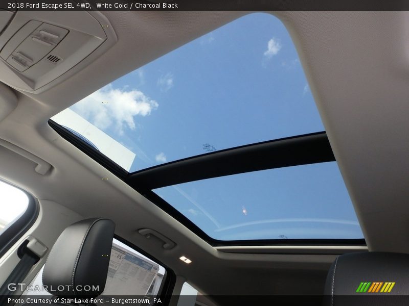 White Gold / Charcoal Black 2018 Ford Escape SEL 4WD