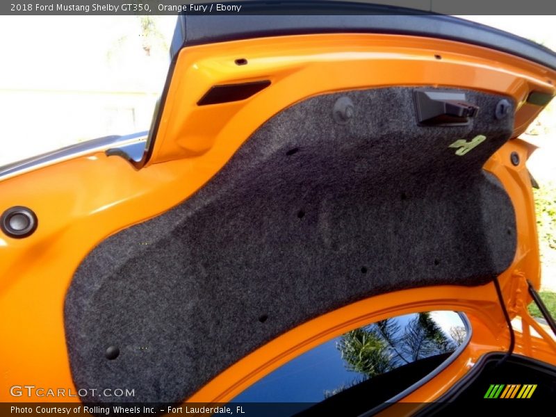 Orange Fury / Ebony 2018 Ford Mustang Shelby GT350