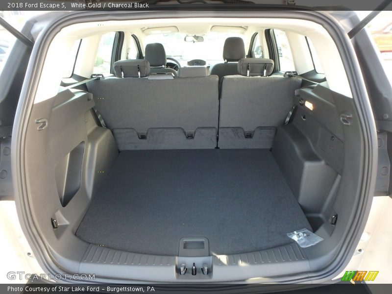 White Gold / Charcoal Black 2018 Ford Escape S
