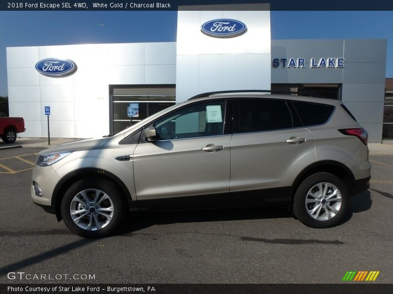 White Gold / Charcoal Black 2018 Ford Escape SEL 4WD