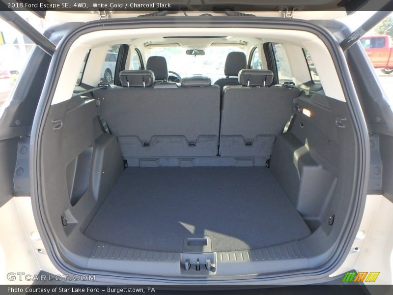 White Gold / Charcoal Black 2018 Ford Escape SEL 4WD