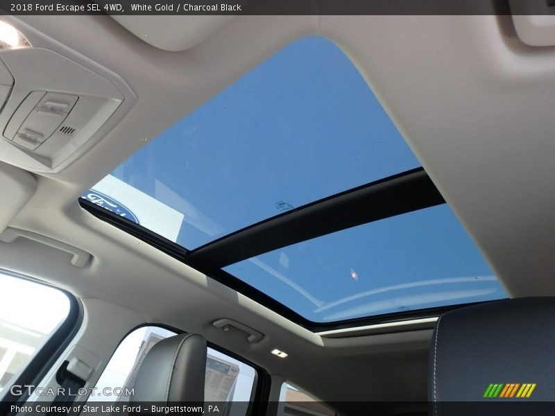 White Gold / Charcoal Black 2018 Ford Escape SEL 4WD