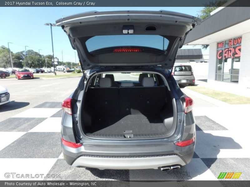 Coliseum Gray / Gray 2017 Hyundai Tucson Eco