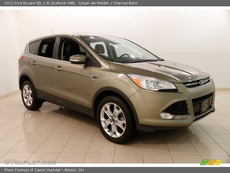 Ginger Ale Metallic / Charcoal Black 2013 Ford Escape SEL 1.6L EcoBoost 4WD