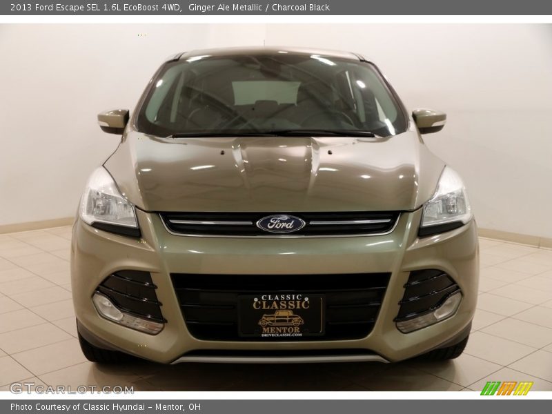 Ginger Ale Metallic / Charcoal Black 2013 Ford Escape SEL 1.6L EcoBoost 4WD