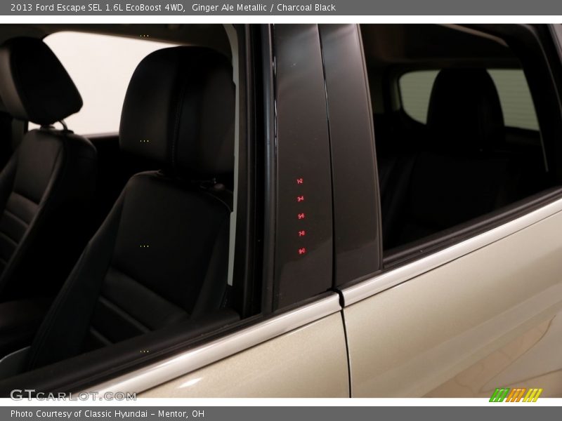 Ginger Ale Metallic / Charcoal Black 2013 Ford Escape SEL 1.6L EcoBoost 4WD