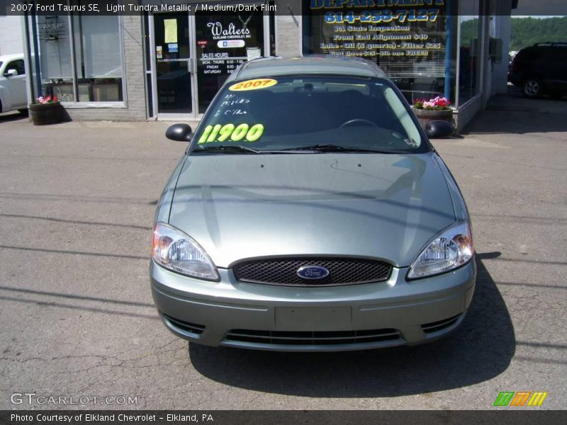 Light Tundra Metallic / Medium/Dark Flint 2007 Ford Taurus SE