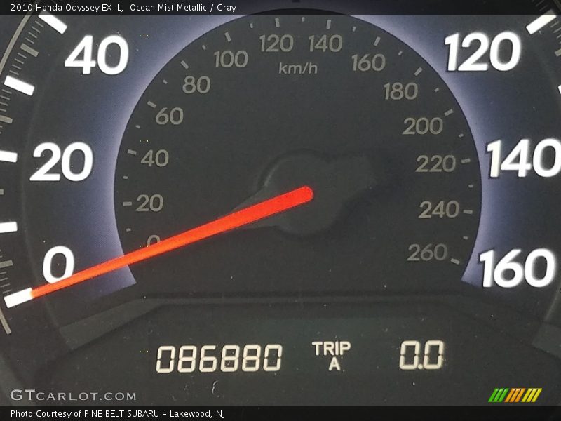 Ocean Mist Metallic / Gray 2010 Honda Odyssey EX-L