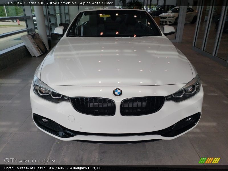 Alpine White / Black 2019 BMW 4 Series 430i xDrive Convertible