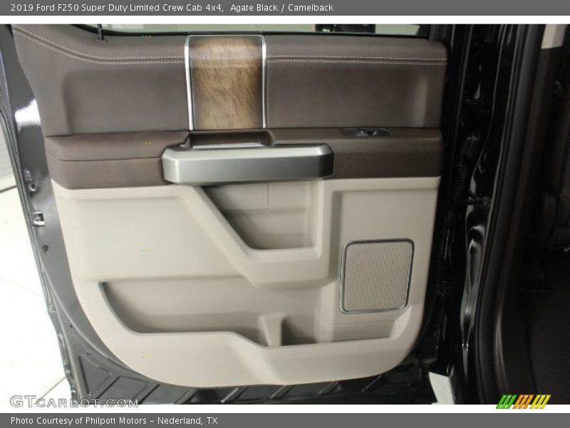 Door Panel of 2019 F250 Super Duty Limited Crew Cab 4x4