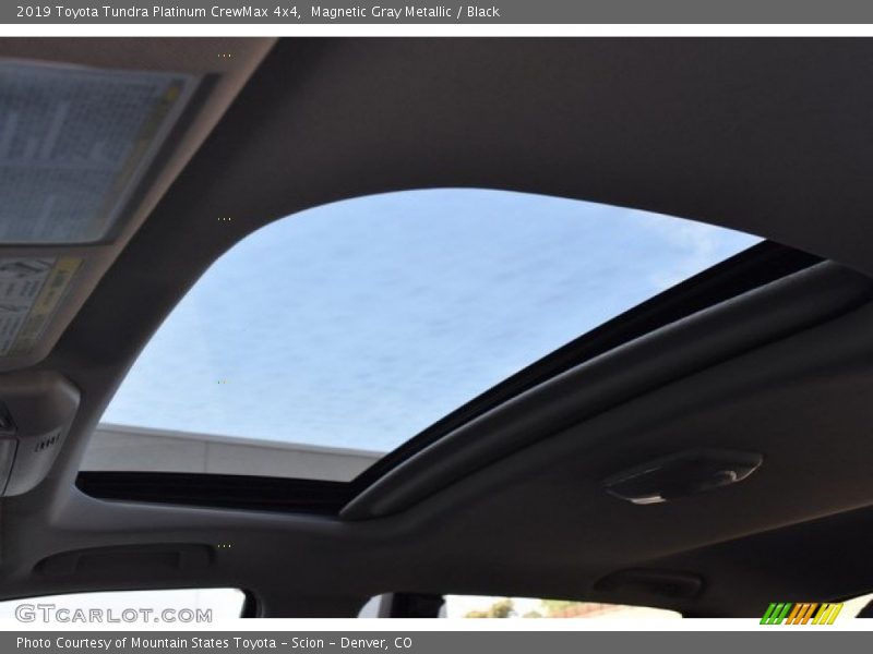 Magnetic Gray Metallic / Black 2019 Toyota Tundra Platinum CrewMax 4x4