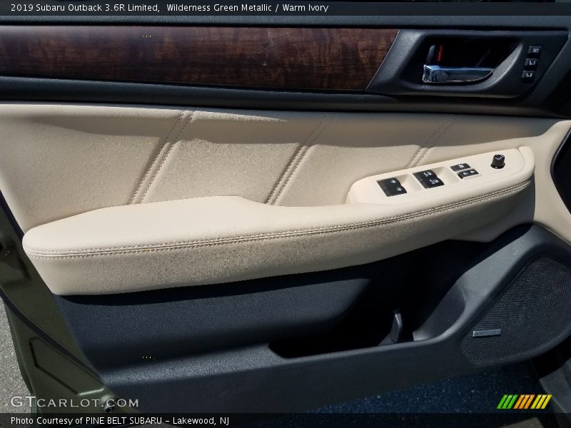 Door Panel of 2019 Outback 3.6R Limited