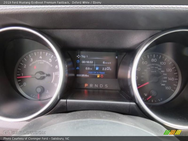  2019 Mustang EcoBoost Premium Fastback EcoBoost Premium Fastback Gauges
