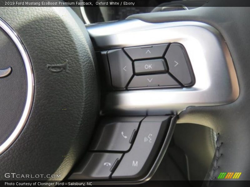 Controls of 2019 Mustang EcoBoost Premium Fastback