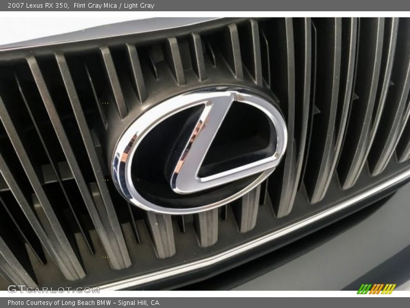 Flint Gray Mica / Light Gray 2007 Lexus RX 350