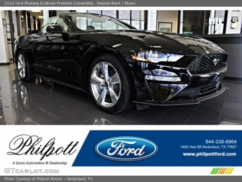 Shadow Black / Ebony 2019 Ford Mustang EcoBoost Premium Convertible