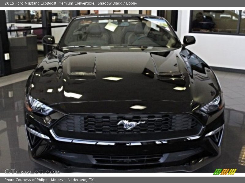 Shadow Black / Ebony 2019 Ford Mustang EcoBoost Premium Convertible