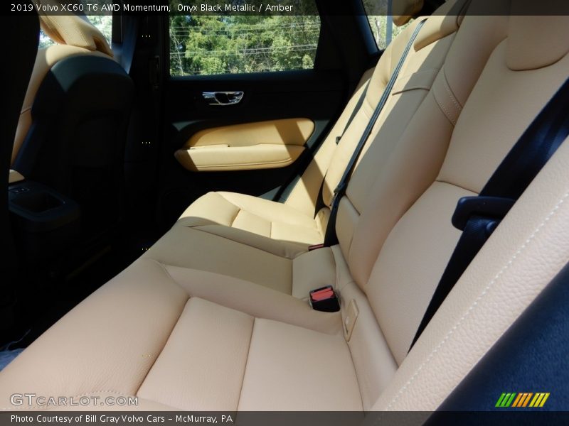 Rear Seat of 2019 XC60 T6 AWD Momentum