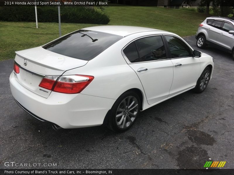 White Orchid Pearl / Black 2014 Honda Accord Sport Sedan