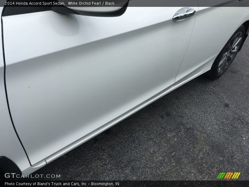 White Orchid Pearl / Black 2014 Honda Accord Sport Sedan