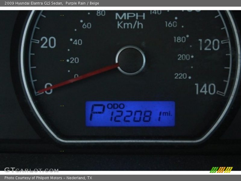 Purple Rain / Beige 2009 Hyundai Elantra GLS Sedan