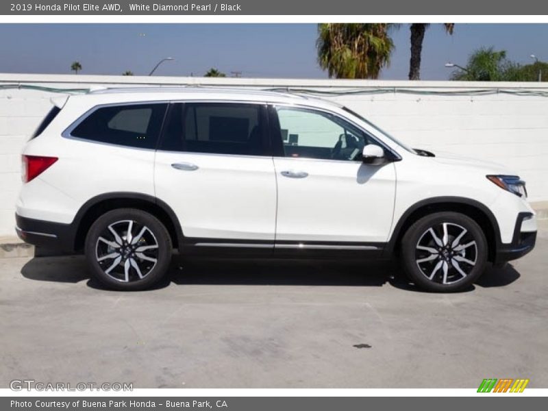 White Diamond Pearl / Black 2019 Honda Pilot Elite AWD