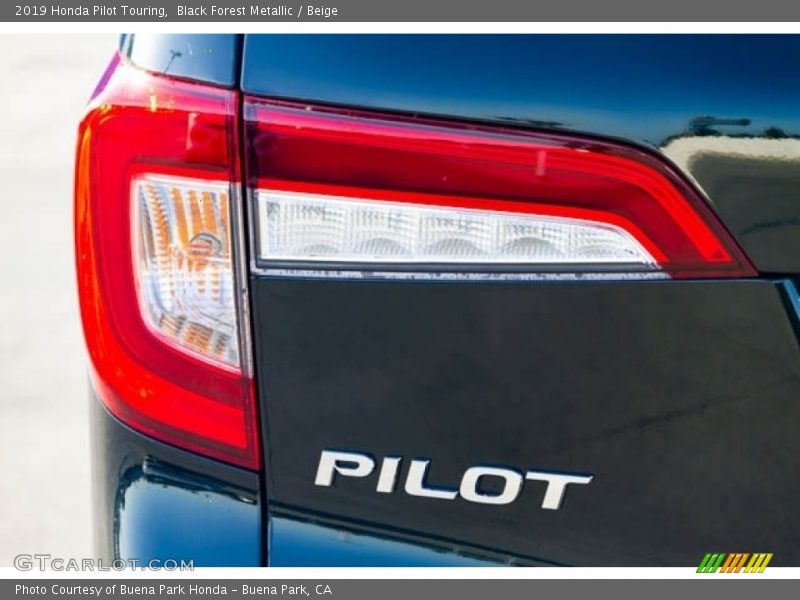 Black Forest Metallic / Beige 2019 Honda Pilot Touring